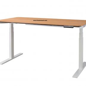 Dual motor Computer Work Station D138I